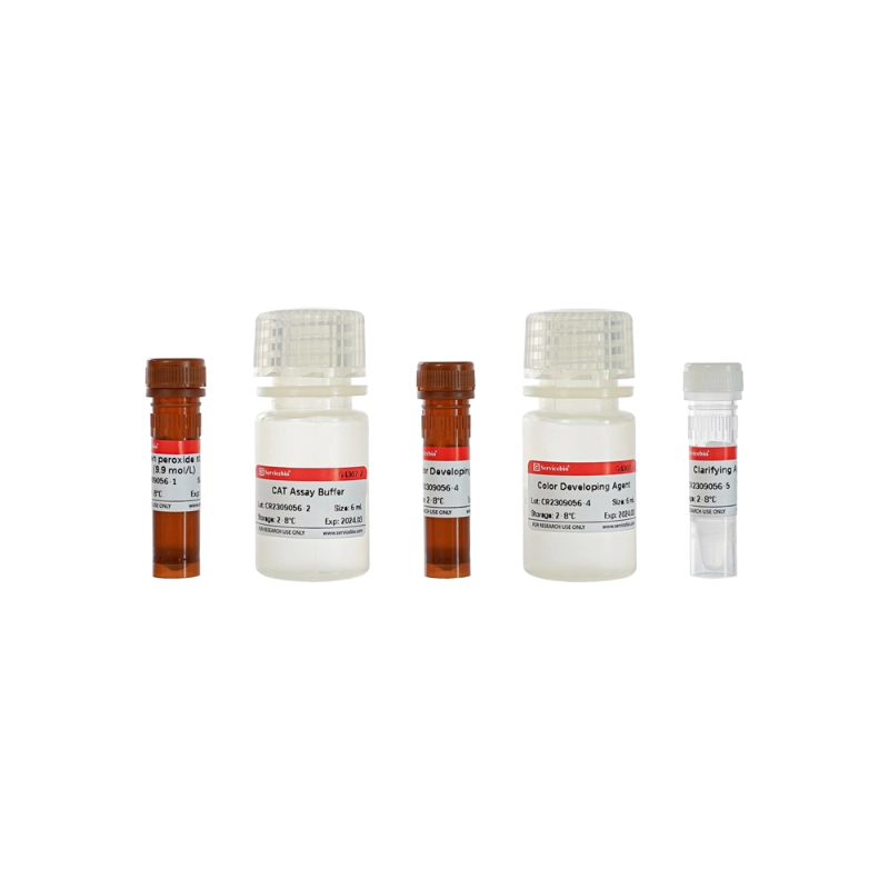 Servicebio Catalase (CAT) Activity Assay Kit