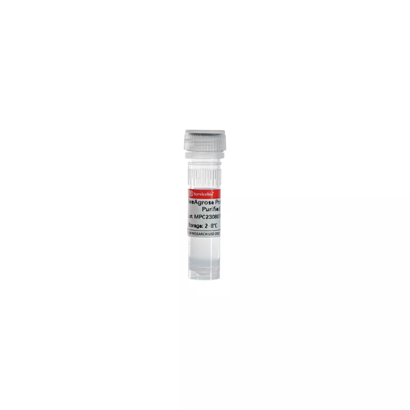SweAgarose Protein A/G Antibody Purified Agarose