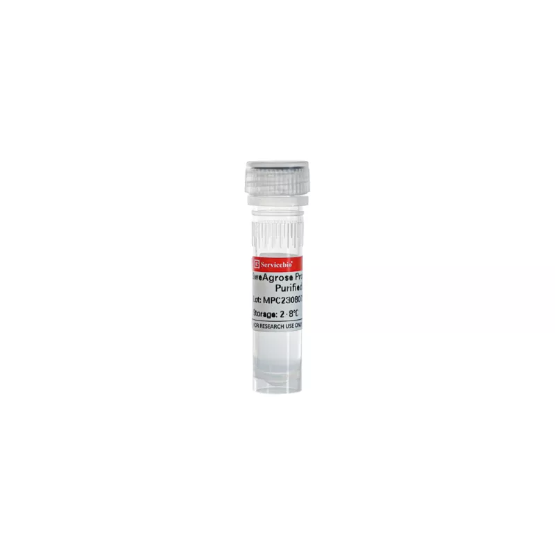 Servicebio SweAgarose Protein G Antibody Purified agarose