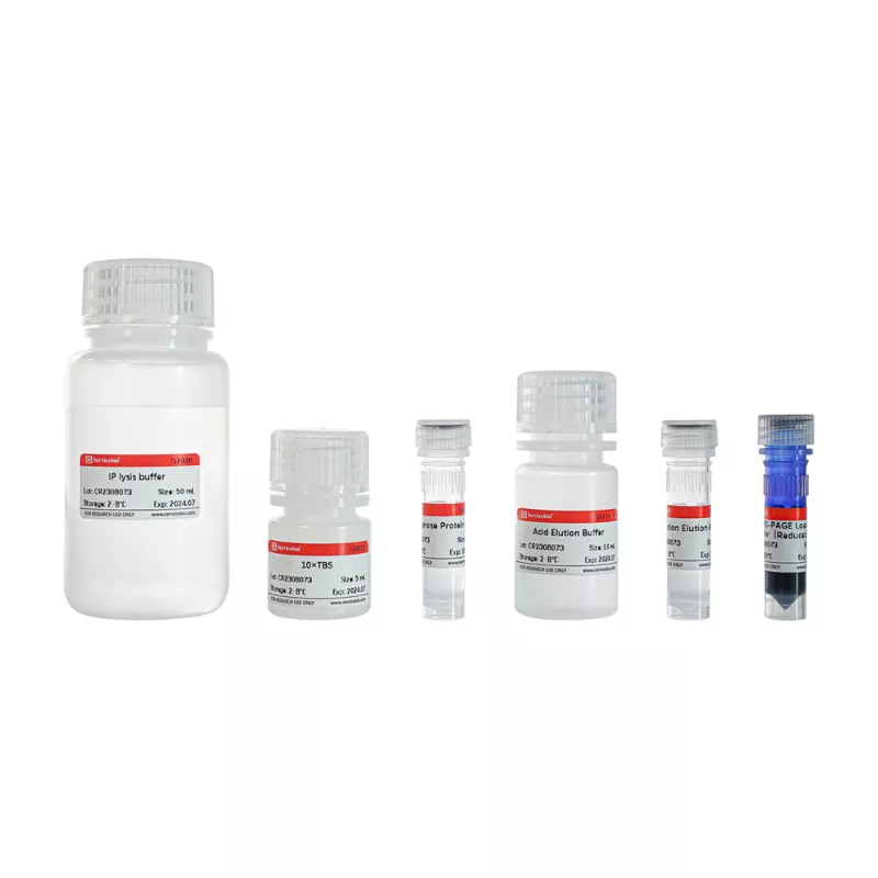Servicebio 蛋白免疫沉澱試劑盒 (Protein G Agarose）
