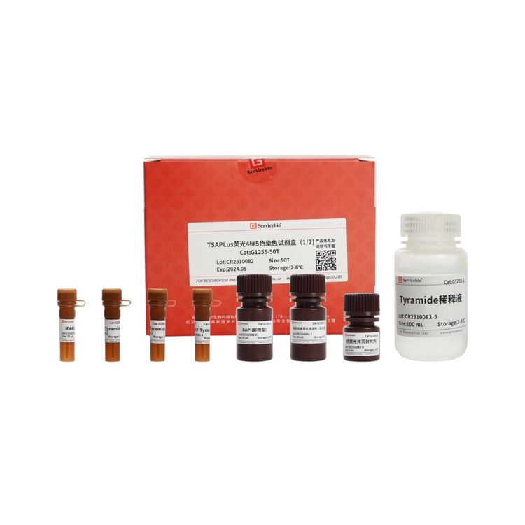 TSAPLus 多重螢光染色試劑組 (4標5色)