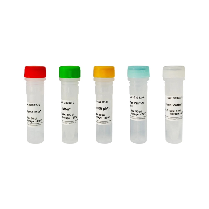 Servicebio SweScript RT II First Strand cDNA Synthesis Kit