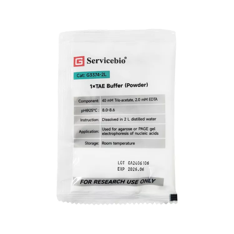 Servicebio 1×TAE buffer (Powder)