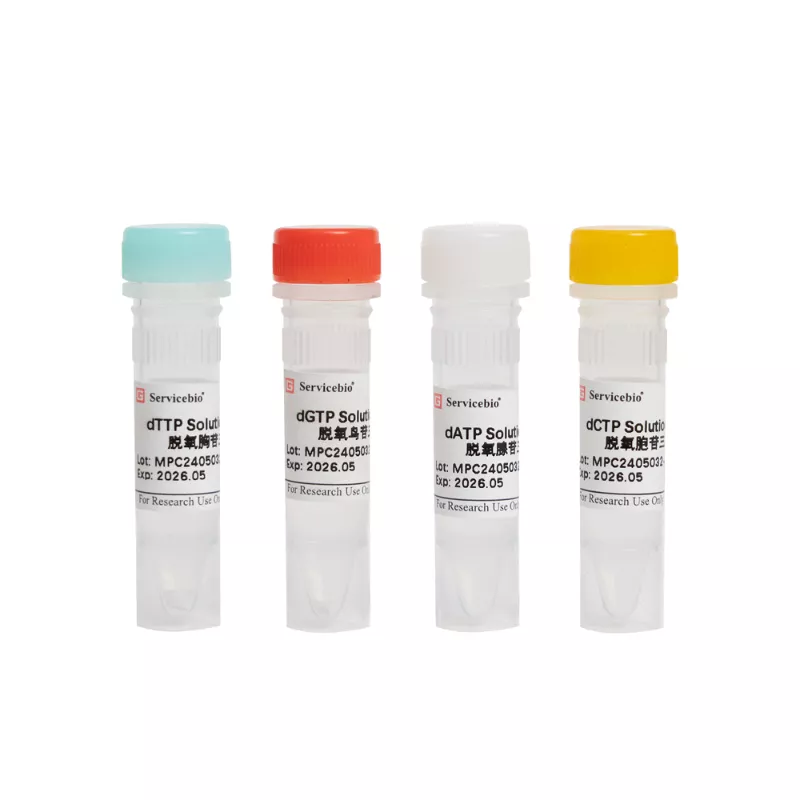 Servicebio dNTPs Solution Kit（dATP, dGTP, dCTP, dTTP, 100 mM each）