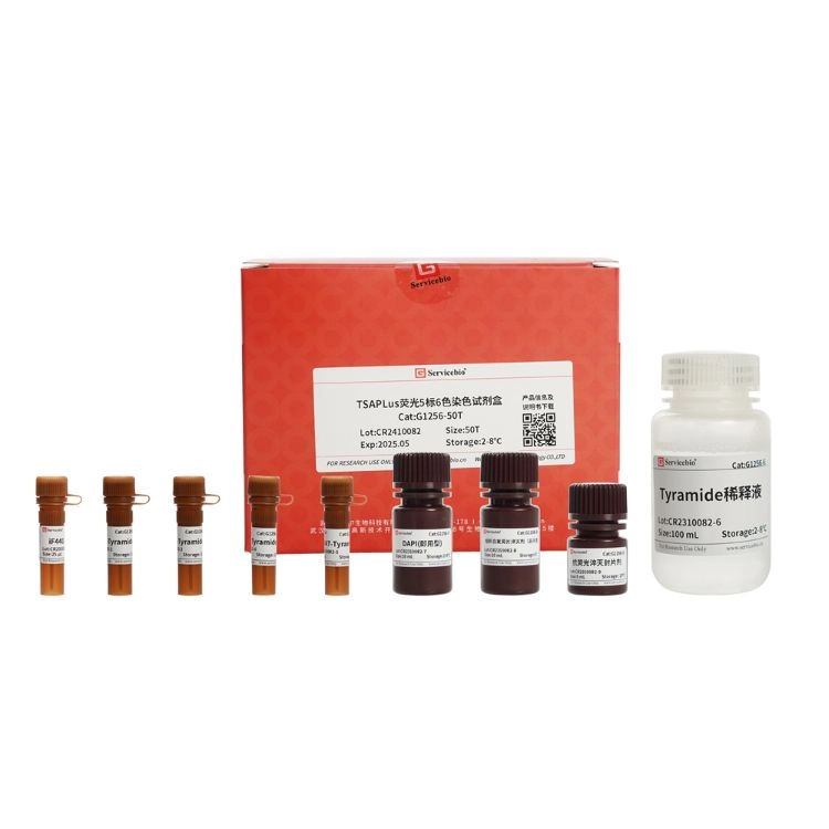 TSAPLus 多重螢光染色試劑組 (5標6色)