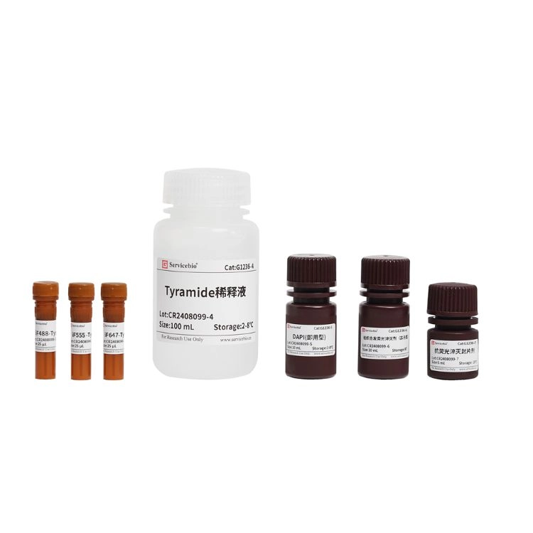 TSAPLus 多重螢光染色試劑組 (3標4色)