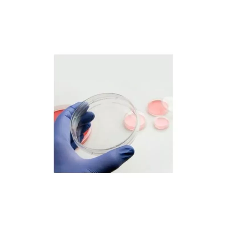 #150460 Nunc™ EasYDish™-3.5cm細 胞培養皿