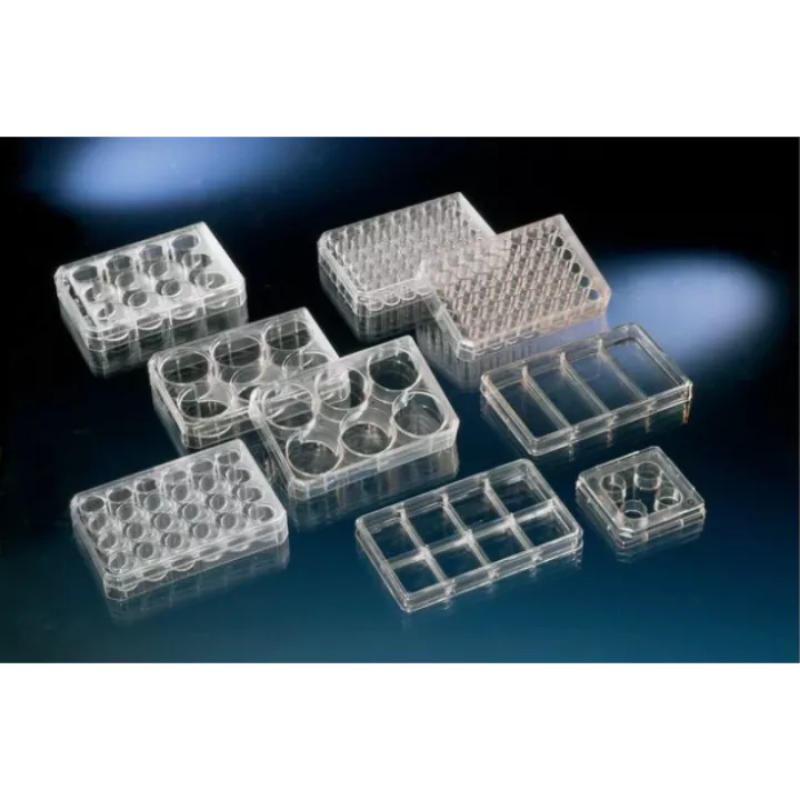 #142475 Nunc™ Cell-Culture Treated Multidishes-24孔細 胞培養盤