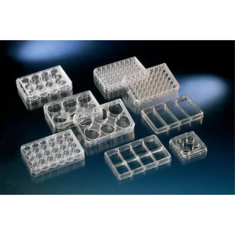#150687 Nunc™ Cell-Culture Treated Multidishes-48孔細 胞培養盤