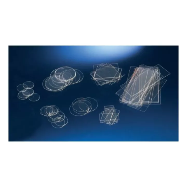 #174942 Nunc™ Thermanox™ Coverslips-4孔盤用