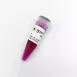 2X ZEJU Taq PCR Master Mix (with Red dye)