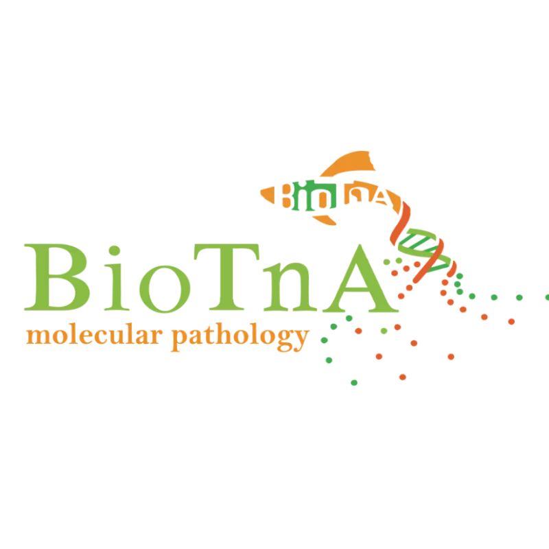 Davidson's Fixative solution