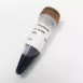 ZEJU Prestained Protein Ladder  5-245 kDa