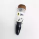 ZEJU Prestained Protein Ladder  5-245 kDa
