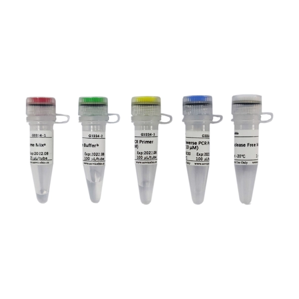 Servicebio miRNA First Strand cDNA Synthesis Kit(Tailing Reaction)