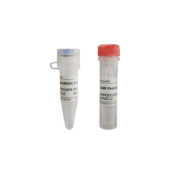 Servicebio Cas9(H840A) Nickase