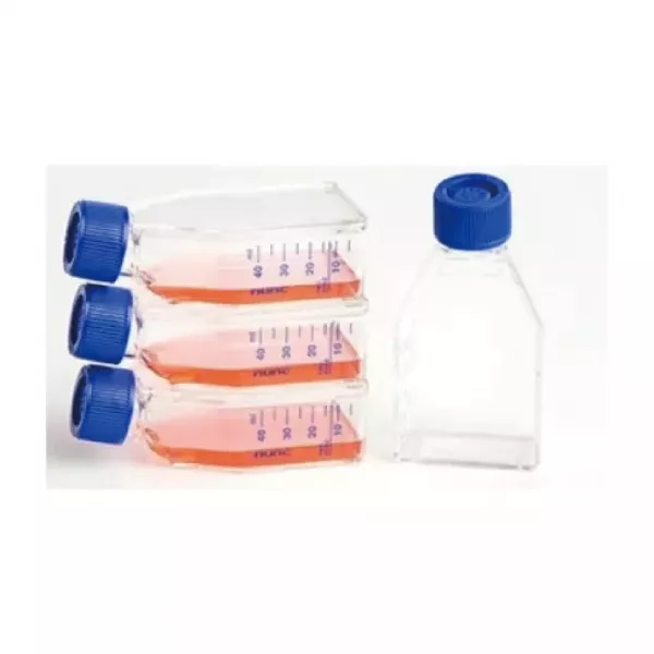 Nunc™ EasYFlask™ Flasks_細胞培養瓶