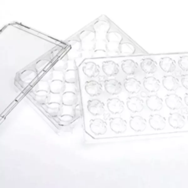 Cell Culture Inserts